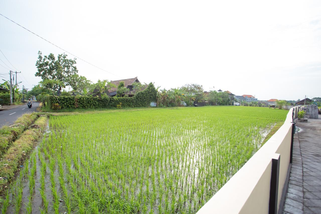 V Canggu Dormitory Zewnętrze zdjęcie